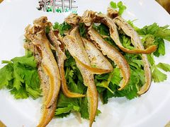 -海港酒楼·平价海鲜·茶点(小公园店)