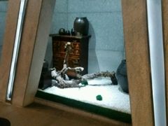 -纽斯桑拿会所(天山店)