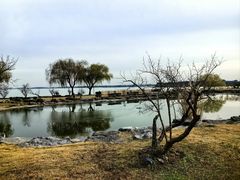 -同里湖大饭店-怡景轩中餐厅(同里古镇店)