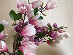 -宫事颐庭·老佛爷贵寿下午茶(颐和园店)