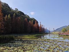 -广州市石门国家森林公园