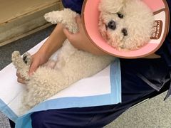 -天津前进宠物医院(前进道店)