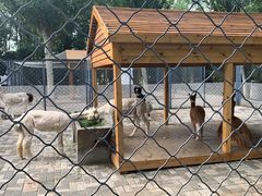 -长白岛森林公园