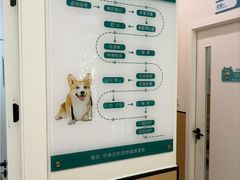 -瑞派康怡24h宠物医院·犬猫医疗中心·微创绝育(瑞景分院)