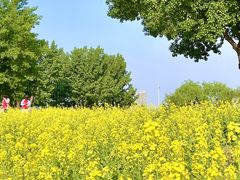 -长白岛森林公园