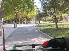 -石家庄市植物园