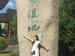 -溱湖国家湿地公园