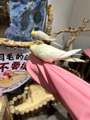 -Zoolung Zoolung动物主题公园(海信广场店)