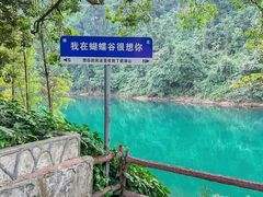 -鼎湖山风景区