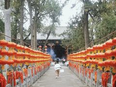 -关林