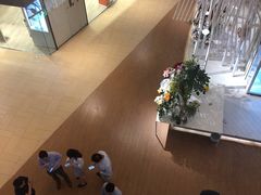 -Dragonfly悠庭·按摩Spa(浦东嘉里城店)
