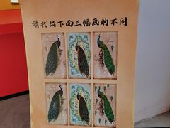 -奔跑吧乐园
