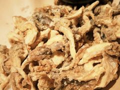 -鸽子窝(青塔店)