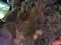 -王家渡火锅(金宝汇店)