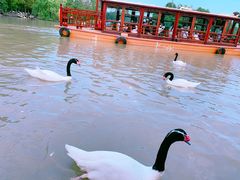 -上海野生动物园