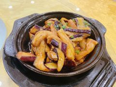 茄子煲-姚林轩