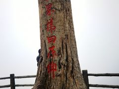 -龙脊梯田