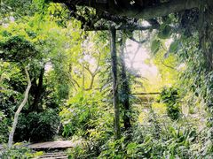 -广西壮族自治区药用植物园