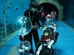 -哈尔滨波塞冬海底世界