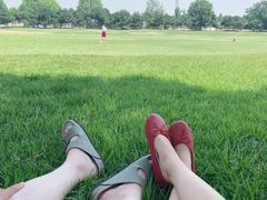 -石家庄市植物园