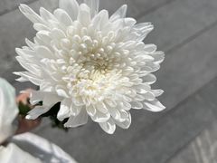 -侵华日军南京大屠杀遇难同胞纪念馆-停车场