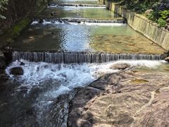 -广州白江湖森林公园