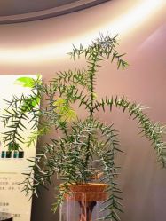 -栖SPA·ONDA ·海菲秀·皑皑科技美肤中心