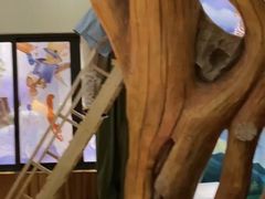 -蓬莱欧乐堡梦幻世界