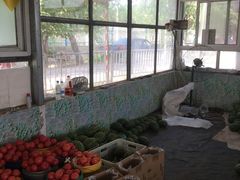-庞各庄翠芳园西瓜蔬菜基地采摘园