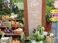 -蘑界·野生菌火锅(深业上城店)