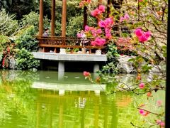 -云溪植物园