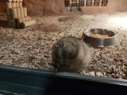 -酷嗒动物文化乐园(cutezoo西溪乐天城店)