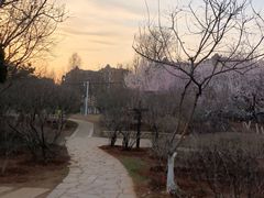-前关湿地公园
