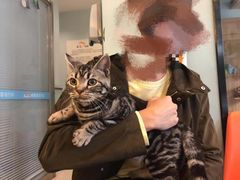 -纳吉亚猫专科动物医院博雅分院