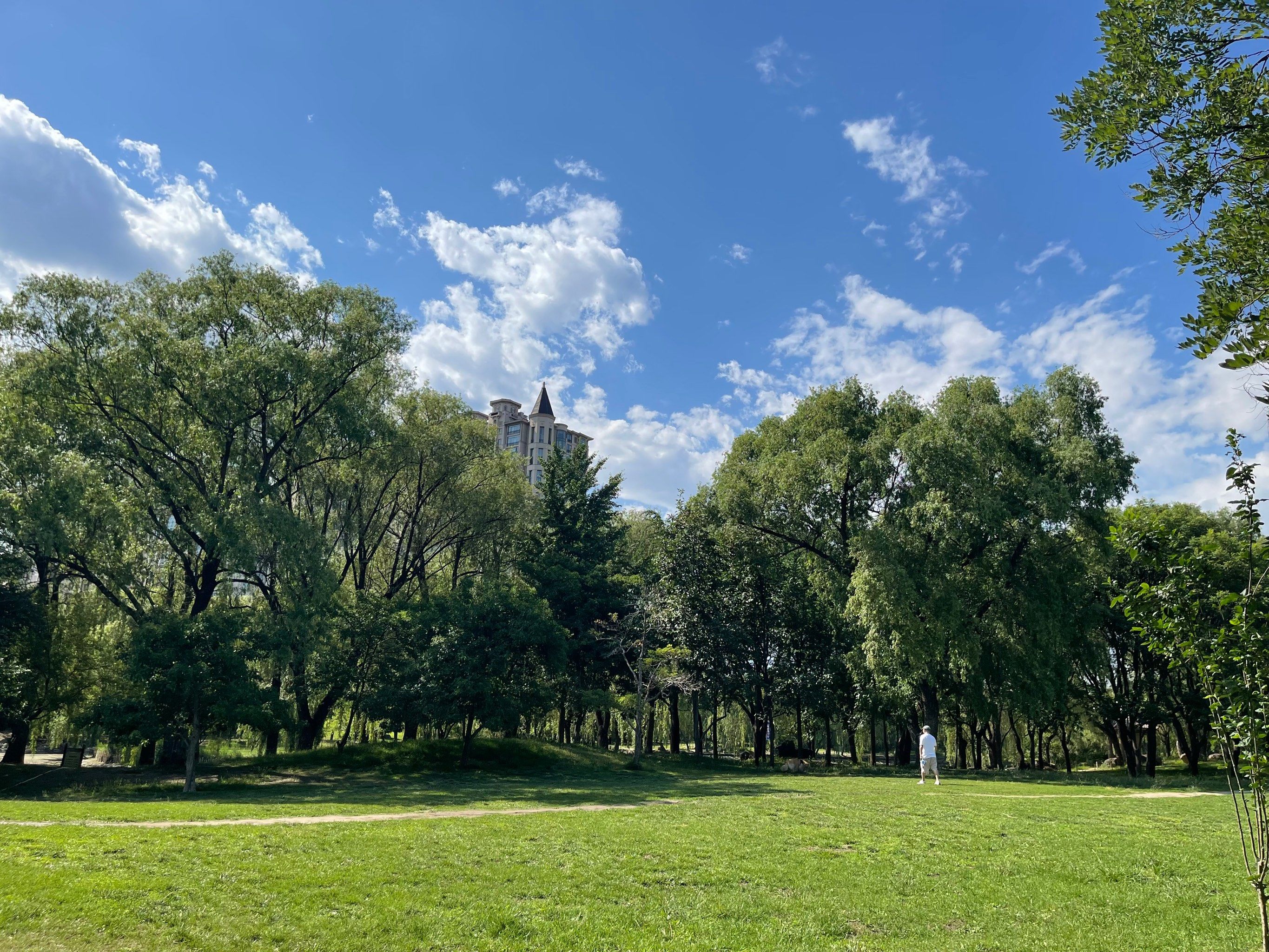 北京|城市森林中的网球场!星河湾