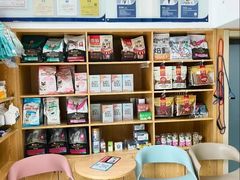 -宠颐生宠物医院·异宠猫科内科·诊疗中心宠巢店