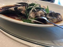 -锦江都城闵行饭店