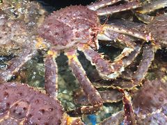 -盒马鲜生(皇庭广场店)