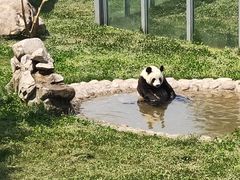 -西安秦岭野生动物园