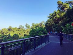 -金鸡山公园