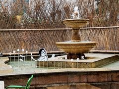 -潮一不贰·法式甜品·生日蛋糕·西式简餐(外滩店)