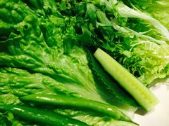 -向阳庄烧烤店(望京西园店)