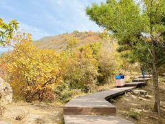 -北京十三陵国家森林公园蟒山景区