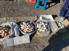 -蒲河大集
