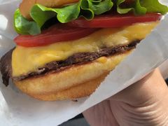 -Shake Shack(西单大悦城店)