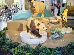 -陕西自然博物馆