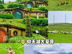 -仰天湖大草原