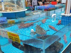-皮记海鲜1995(寮步店)