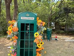 -金鸡湖桃花岛