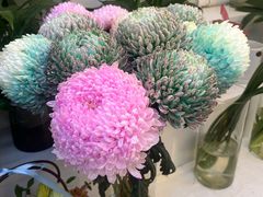 -花草间花行(法华镇路店)